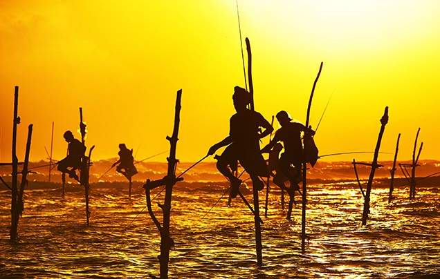 Day 12: Travel to Galle
