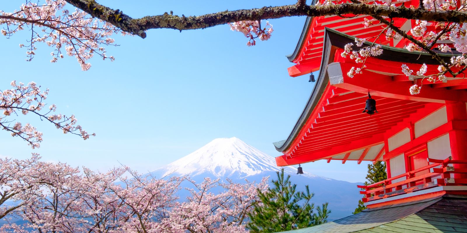 Early Bird Japan
