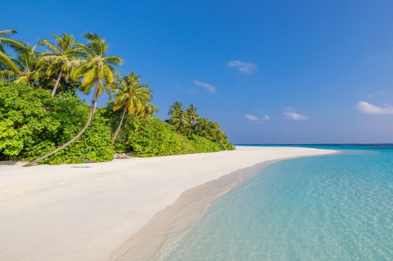 Group Tour & Beach Stay