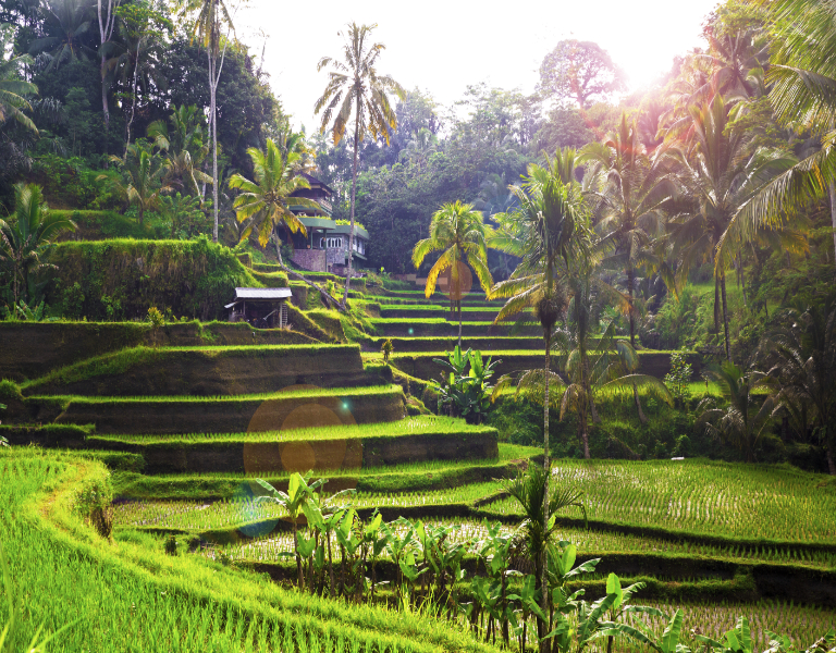 Angkor to Bali