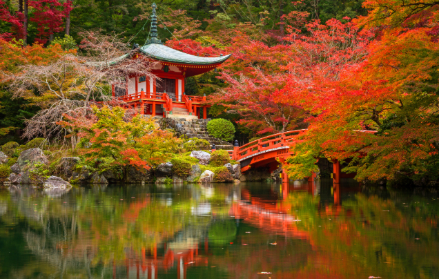 Day 11: Cruise – Osaka (Kyoto)