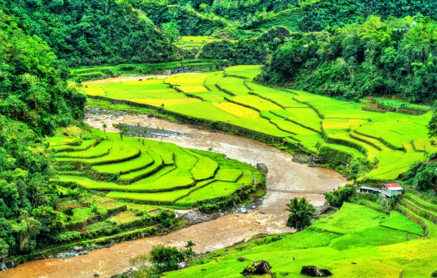 Day 4: Banaue Rice Terraces