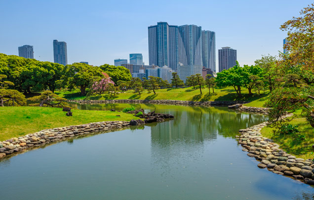 Day 16: Tour Tokyo