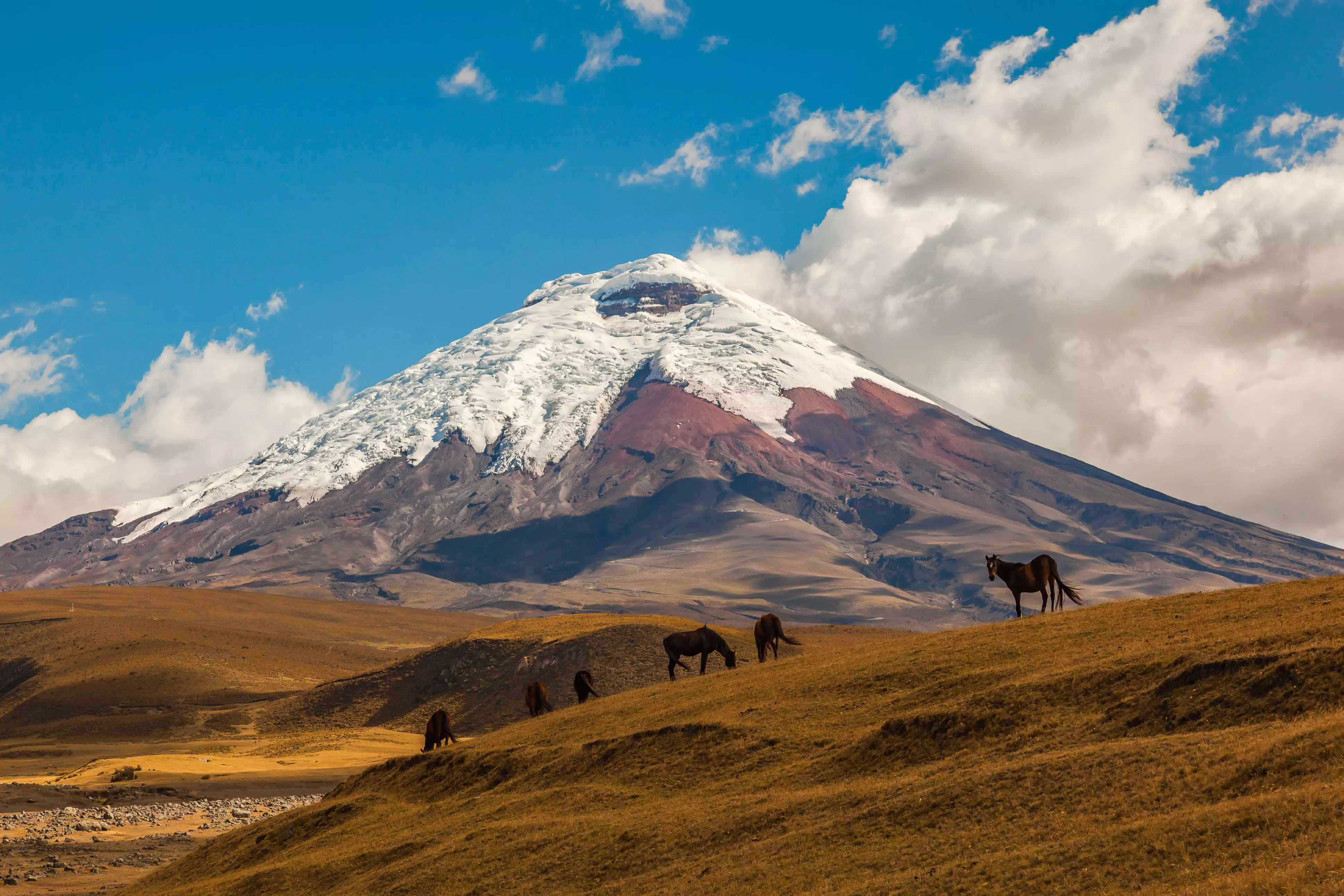 Natural Wonders of Ecuador & Galapagos