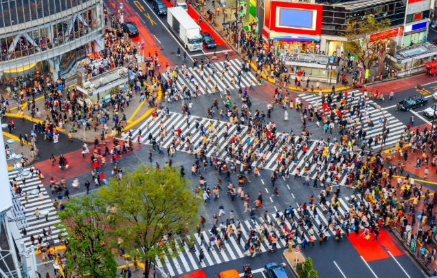 Day 3: Discover Tokyo