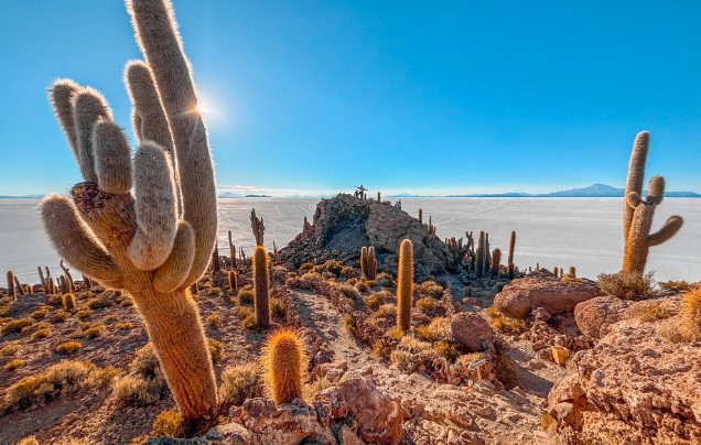Day 12: Uyuni Salt Flats
