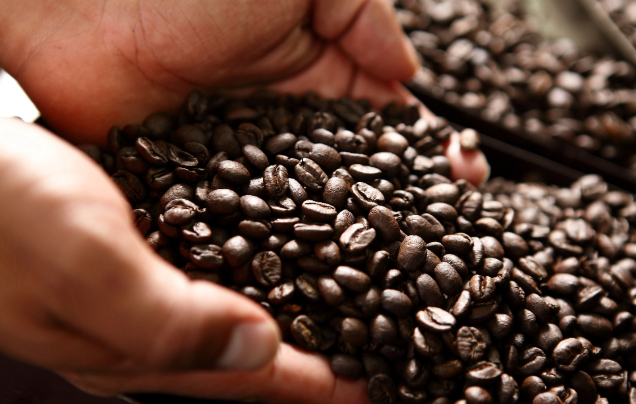 Day 5: Coffee Tasting