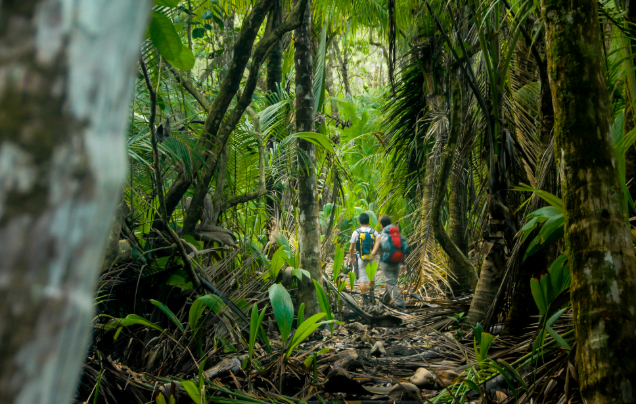 Day 13: Corcovado National Park