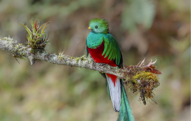 Day 10: Monteverde