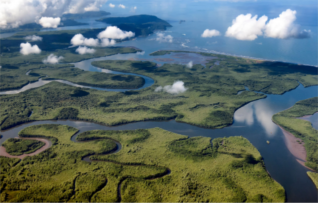 Day 12: Drake Bay, Osa Peninsula