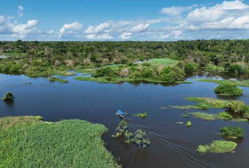 Brazilian Amazon Short Stay