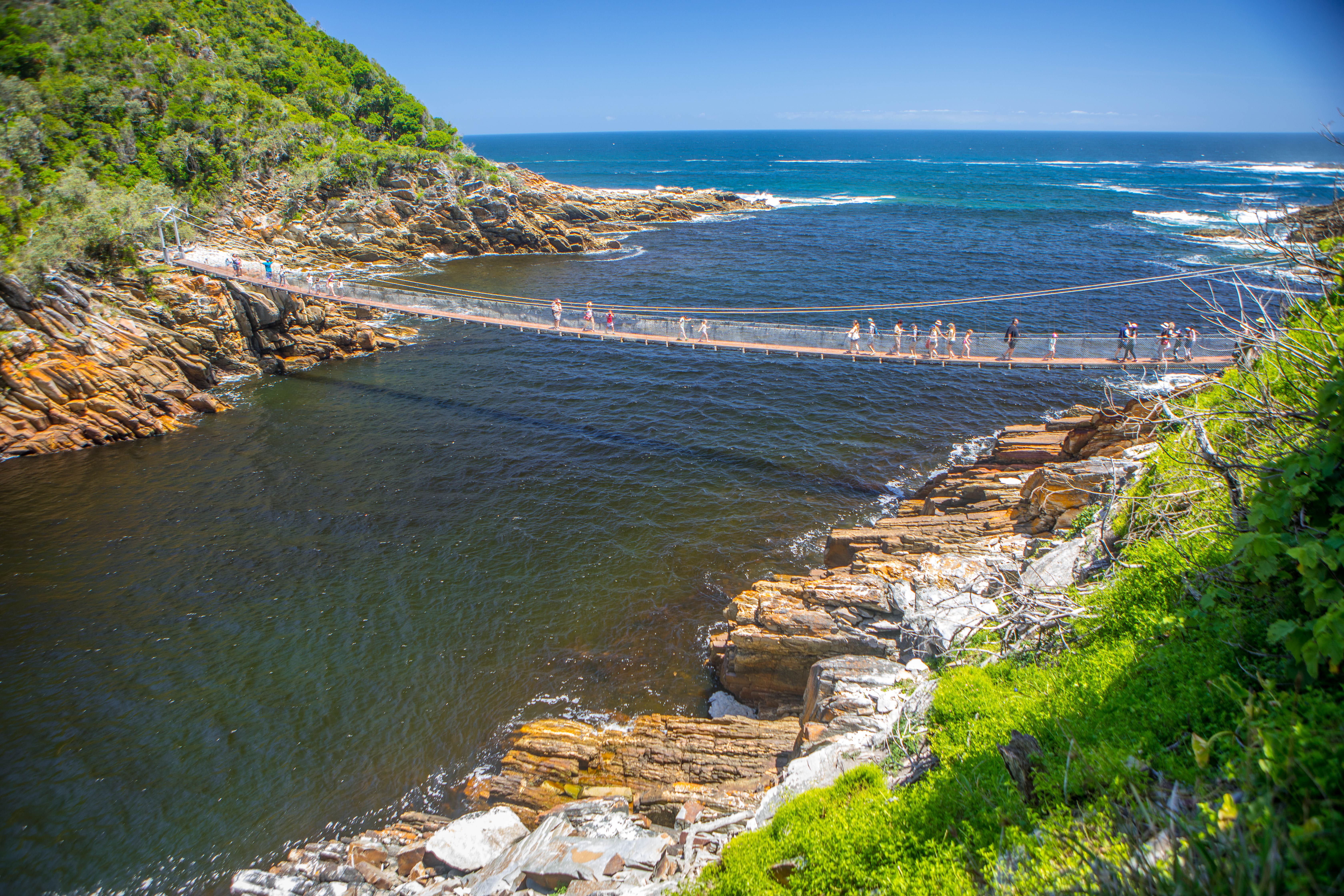 Day 7: Addo Region – Knysna