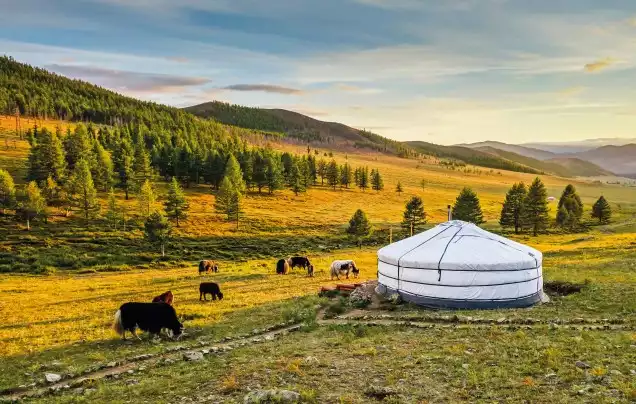 DAY 16: ULAANBAATAR CITY TOUR