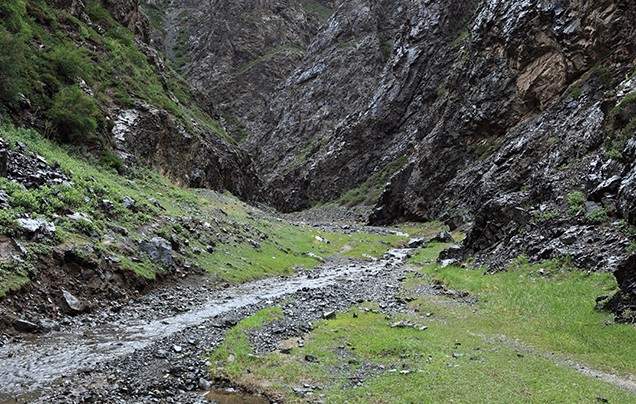 DAY 6: KHONGORYN ELS