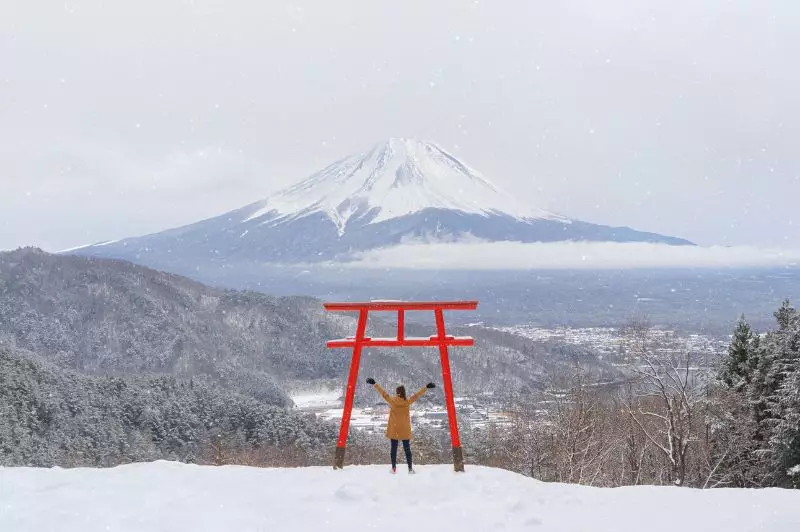 Extraordinary Christmas Journeys