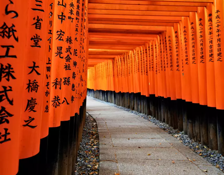 Free Flights or Partner Flies Free