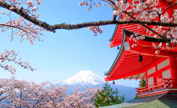 Early Bird Japan