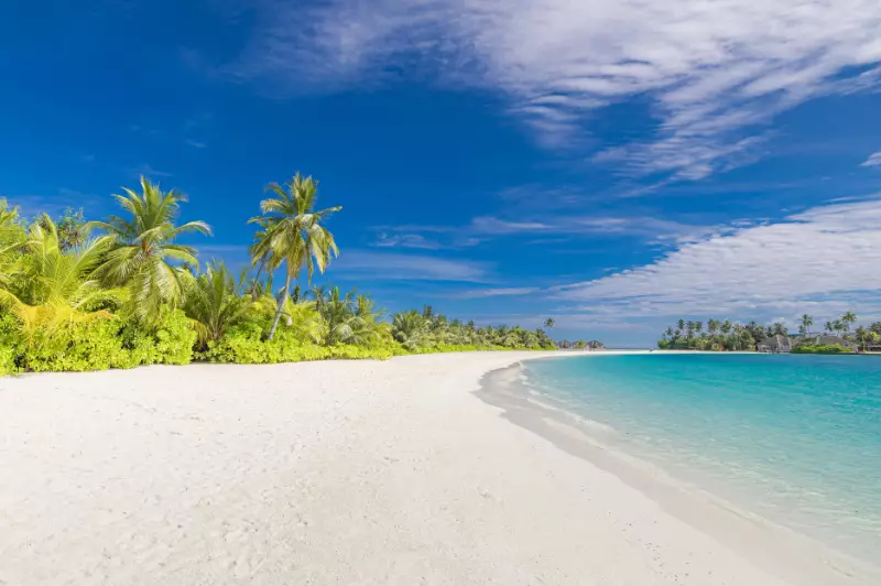 Tour & Beach Launch Offer