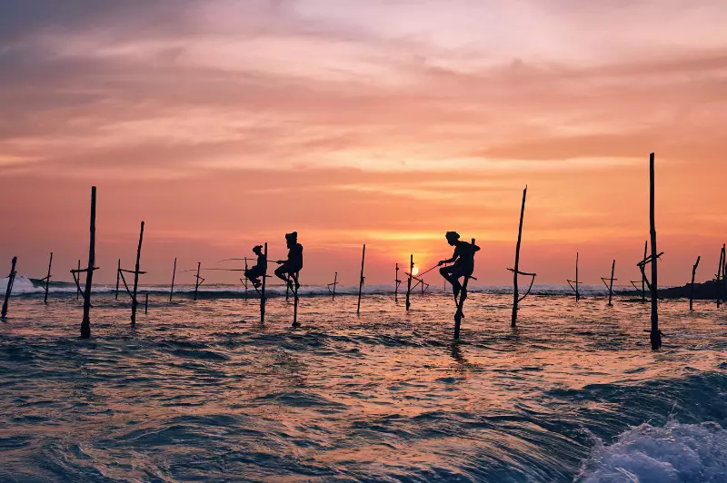 India & Sri Lanka Brochure Launch Offer