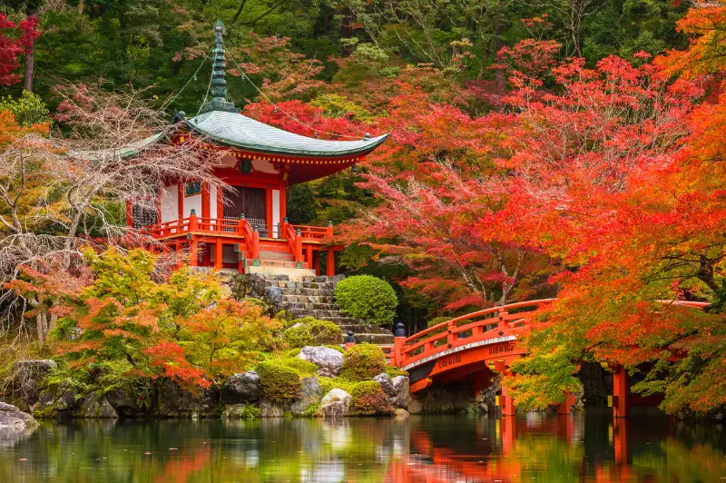 The Autumn Event