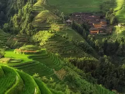 Longsheng Rice Terraces