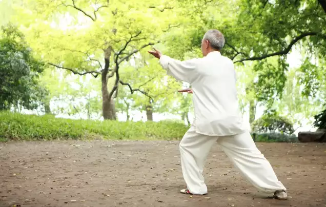 Day 21: Yangshou Tai Chi
